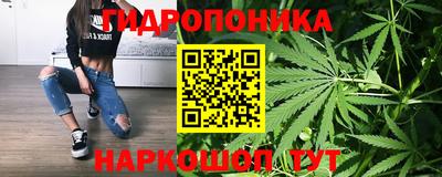 PSILOCYBIN Новозыбков