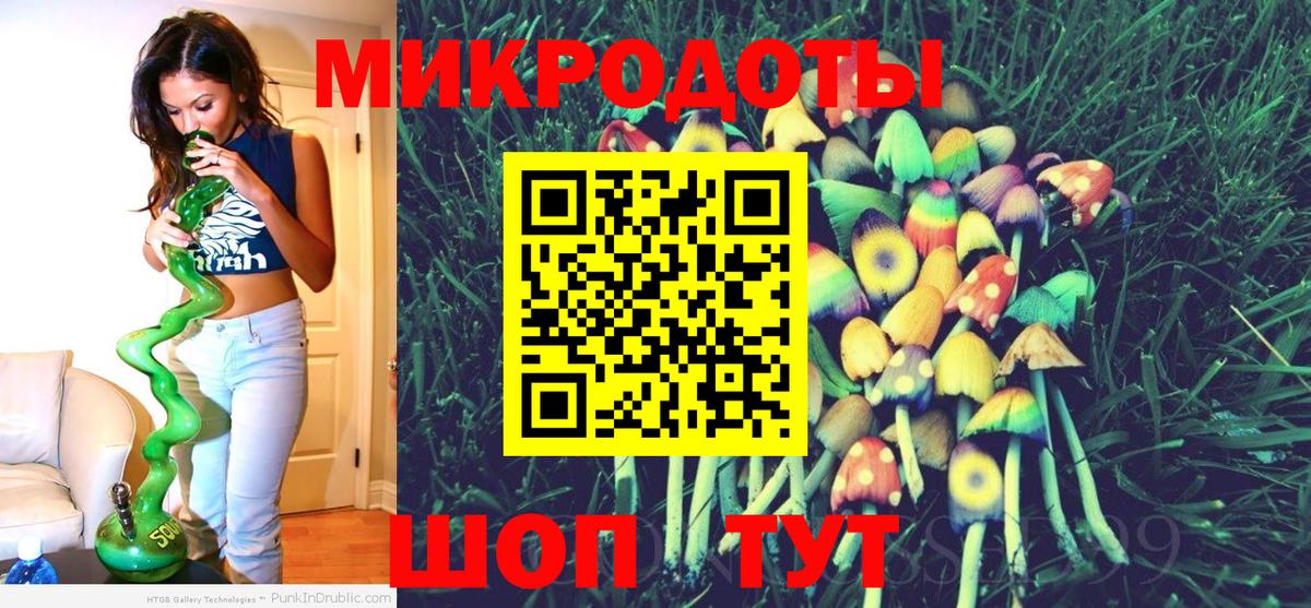 Галлюциногенные грибы Cubensis Тихорецк